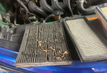 Bộ Lọc Gió Động Cơ Bẩn – Mối Nguy Hại Âm Thầm Cho Xe Của Bạn!